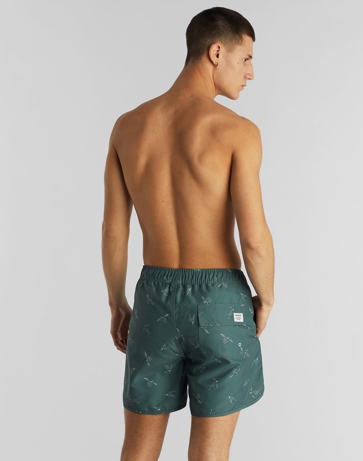 Sandhamn Sea Turtles Badehose von dedicated jetzt bestellen muso koroni